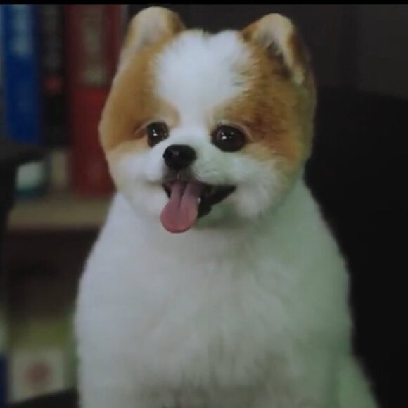 Meet your Posher, mijupomme - Picture 1 of 1